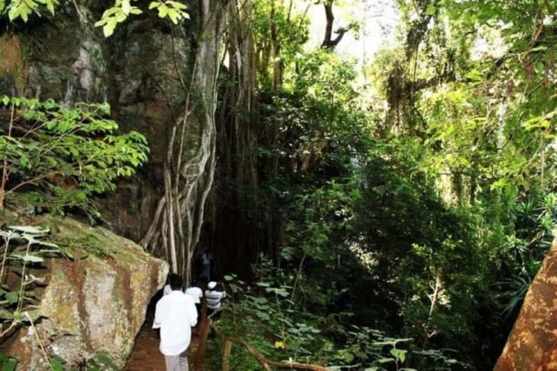 Nairobi: Paradise Lost Recreational Day Trip - A Closer Look at the Days Itinerary
