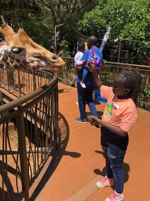Nairobi Park, Elephant Sanctuary, & Giraffe Center Tour - Key Points