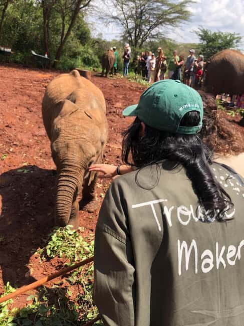 Nairobi Park, Elephant Sanctuary, & Giraffe Center Tour - Final Thoughts