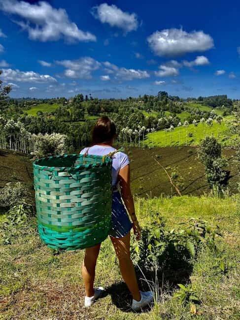 Nairobi: Purple Tea Farm Gatura Greens Day Trip - Key Points