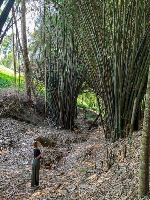 Nairobi: Purple Tea Farm Gatura Greens Day Trip - FAQ