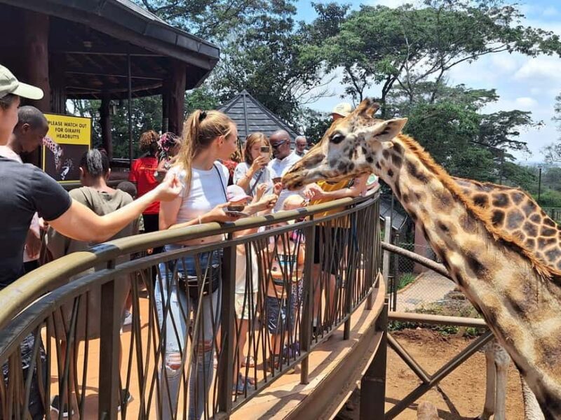 Nairobi: Safari Walk and Giraffe Center Day Tour - Key Points