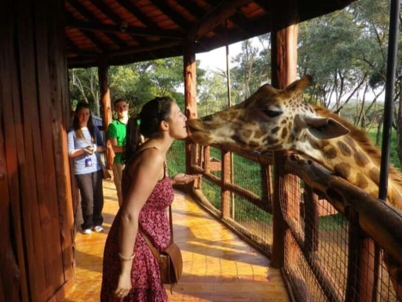 Nairobi: Safari Walk and Giraffe Center Day Tour - A Closer Look at the Itinerary