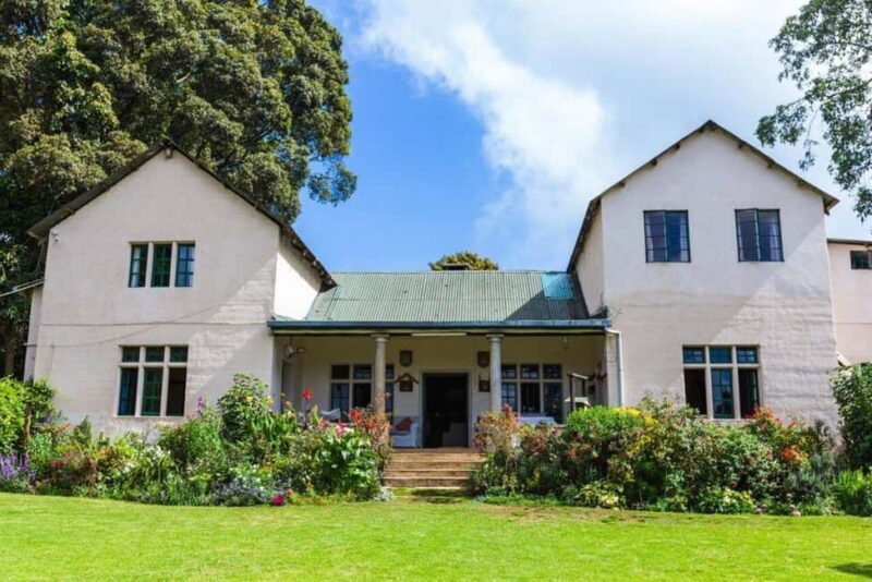 Nairobi: Tea Farm Tour with Forest Walk and Lunch - Who Will Love This Tour?