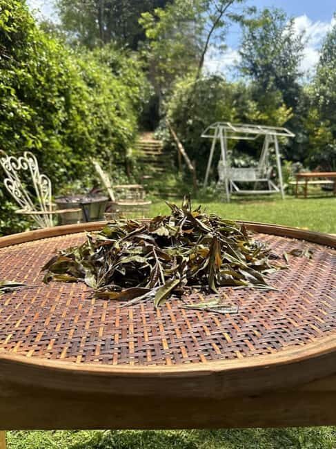 Nairobi: Tea Farm Tour with Waterfall Hike at Gatura Greens - A Day at Gatura Greens: What to Expect