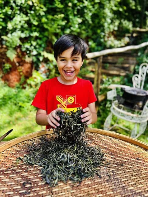 Nairobi: Tea Farm Tour with Waterfall Hike at Gatura Greens - Real Traveler Insights and Reviews