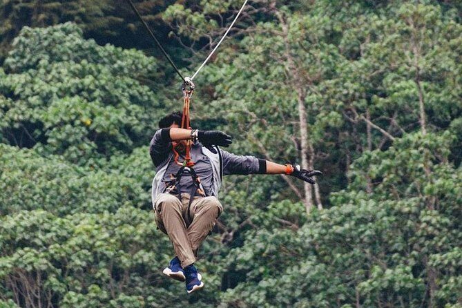 Nairobi Zip Lining Adventure Experience - Authentic Reviews and Insights
