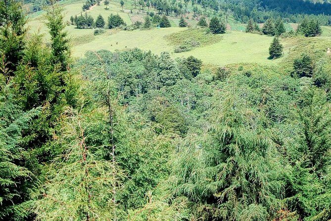 Nairobi Zip Lining Adventure Experience - The Sum Up