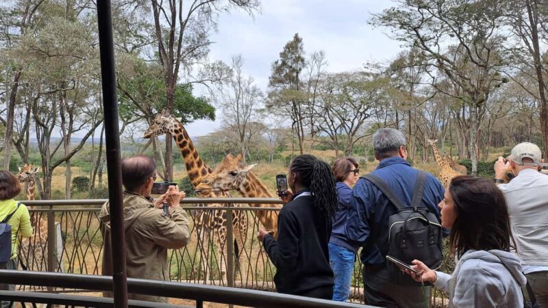 Nairobi:David Sheldrick Elephant Orphanage & Giraffe Center - Key Points