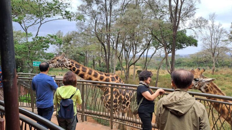 Nairobi:David Sheldrick Elephant Orphanage & Giraffe Center - Final Thoughts
