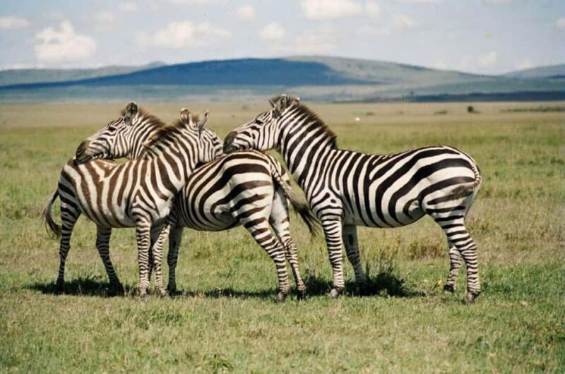 Nairobi:Group Hell's Gate National Park & Lake Naivasha Tour - FAQ