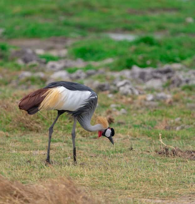Naivasha: Lake Naivasha & Hells Gate National Park - Key Points