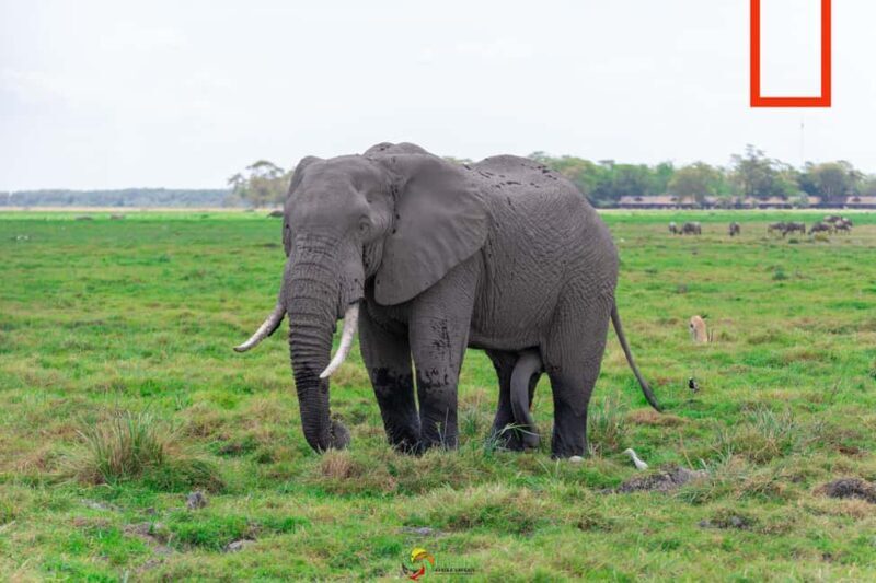 Naivasha: Lake Naivasha & Hells Gate National Park - The Practical Side: What’s Included and What’s Not