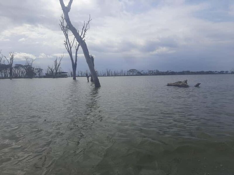 Naivasha: Lake Naivasha & Hells Gate National Park - Authentic Experiences and Authenticity