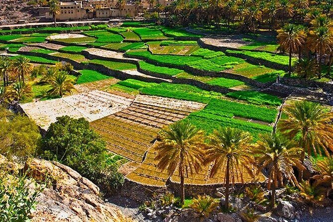 Nakhal Fort-Nakhal Hotspring-Wadi Bani Awf-Bilad Sayt - Private Full Day Tour - FAQs