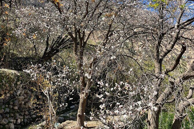 Nakhal Hotspring and Wakan Village Private Full Day Tour - Nakhal Fort: A Fortress in the Mountains
