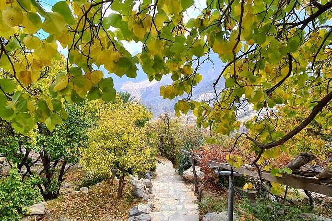 Nakhal Hotspring and Wakan Village Private Full Day Tour - Who Will Love This Tour?