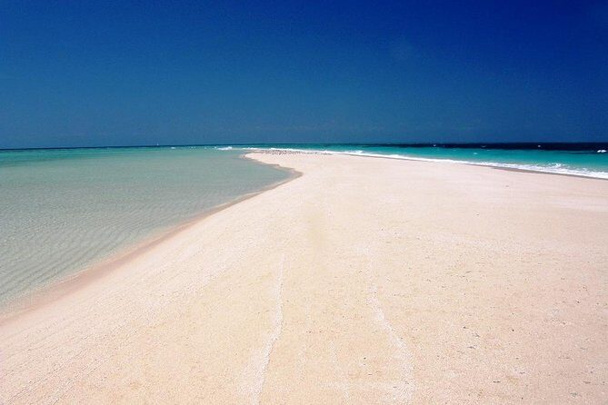 Nakupenda Beach Day Tour in Zanzibar - Key Points