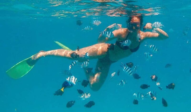 NAKUPENDA SANDBANK BEACH AND SNORKELING - Key Points