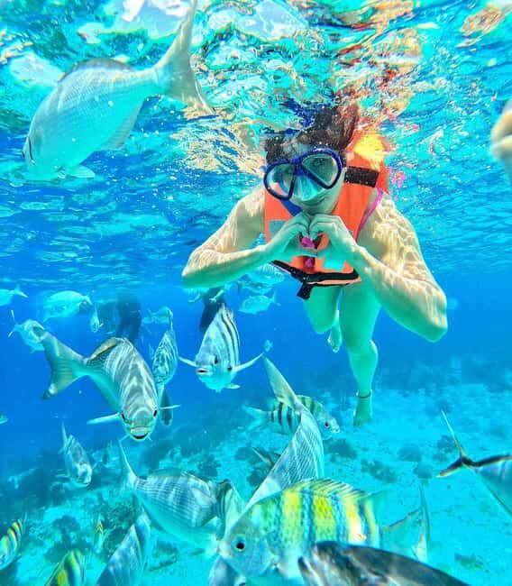 NAKUPENDA SANDBANK BEACH AND SNORKELING - The Sum Up: Is This Tour Worth It?