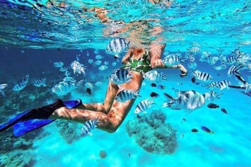 Nakupenda Sandbank Tour - Introduction