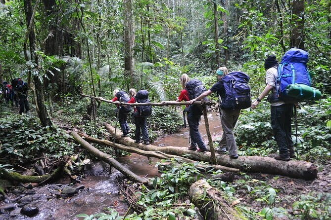 Nalan Trail and Khmu Tribe: 2 Days Trek in Nam Ha NPA - Discover Laos’ Heartland on a 2-Day Trek in Nam Ha NPA