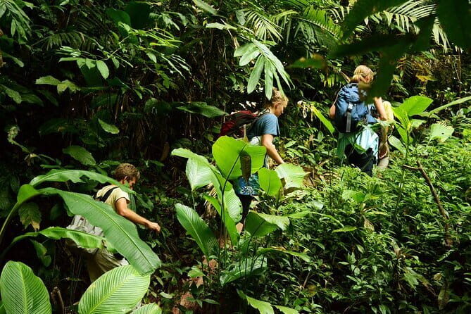 Nalan Trail and Khmu Tribe: 2 Days Trek in Nam Ha NPA - Final Thoughts: Is This Tour Right for You?