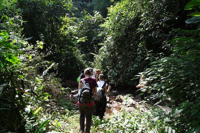 Nalan Trail Kmu Ethnic Experience - 2days forest trek with homestay. - The Experience with Guides and Other Travelers