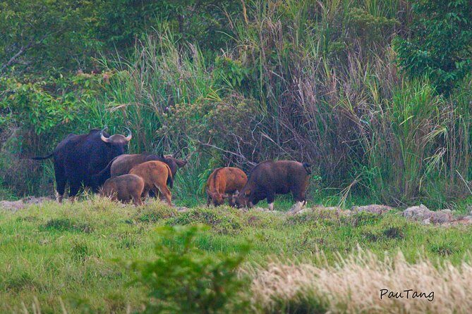 Nam Cat Tien National Park 2-Day Tour with Lodging, Meals.. - What to Expect from the Itinerary