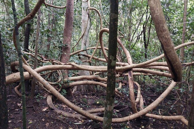Nam Cat Tien National Park 2-Day Tour with Lodging, Meals.. - Authentic Experiences and Guide Expertise