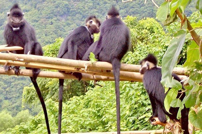 Nam Cat Tien National Park 2 Days 1 Night Tour - An In-Depth Look at the Nam Cat Tien National Park Tour