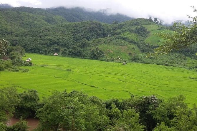 Nam Ha NPA 3 Day Wildlife Jungle Camp and Village Homestay Trek - Who Should Consider This Tour?