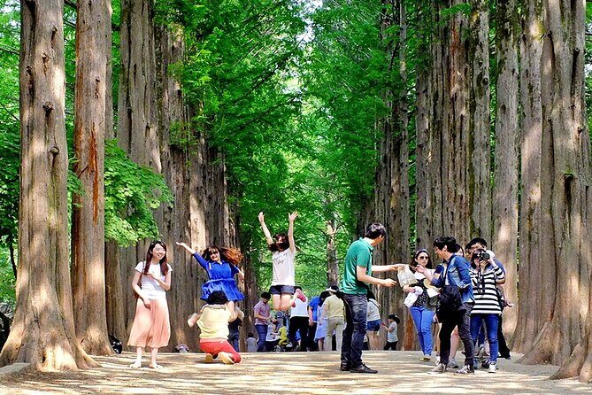 Nami Island, Cable Car, Garden of Morning Calm Panoramic Tour - Exploring the Full Itinerary: What You’ll Experience