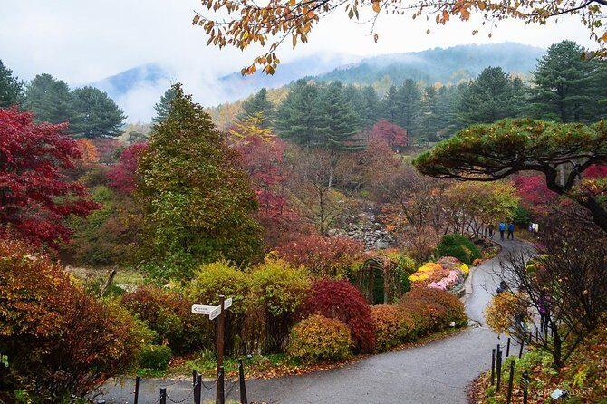 Nami Island from Seoul: Petit France and Garden of Morning Calm - Starting the Day: Nami Island