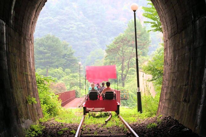 Nami Island & Garden of Morning Calm & Gangchon Railbike Tour - A Detailed Look at the Tour Experience