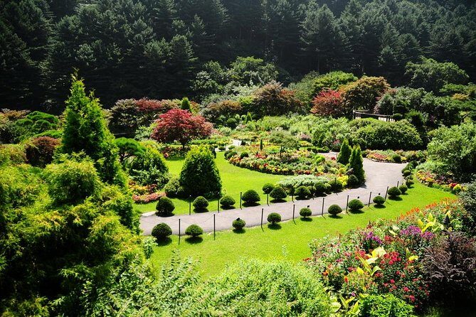 Nami Island & Garden of Morning Calm & Gangchon Railbike Tour - Who Should Consider This Tour?