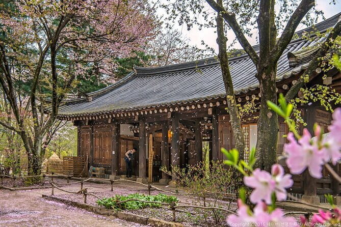 Nami Island, Garden of Morning Calm Tour with Rail Bike Option - Key Points