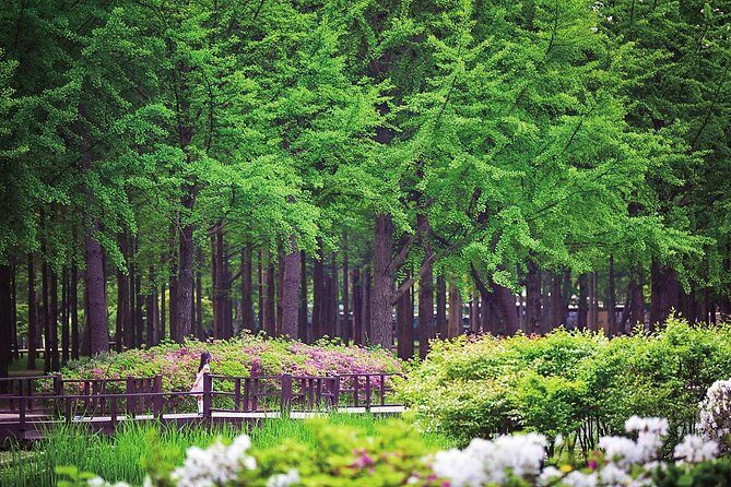 Nami Island& Petite France& Garden of Morning Calm& Italian Village One-Day Tour - The Sum Up: A Well-Rounded Day Out