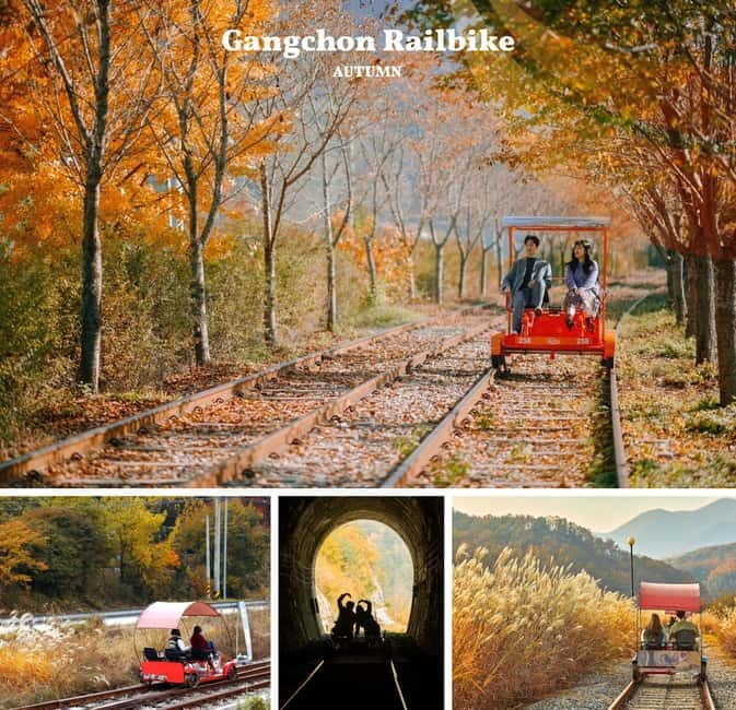 Nami Island, Railbike & Alpaca Garden Day Trip from Seoul - Key Points