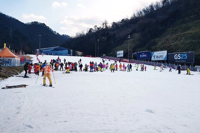 Nami Island + Ski Tour - The Ski Resort Experience