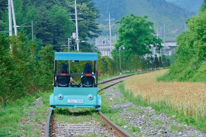 Nami Island Trip with Petite France & Italian Village and Gangchon Rail Bike - An Overview of the Tour Experience