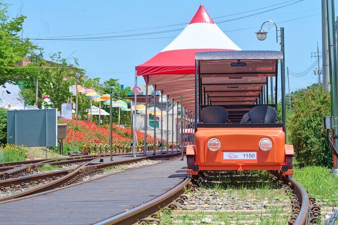 Nami Island Trip with Petite France & Italian Village and Gangchon Rail Bike - FAQ