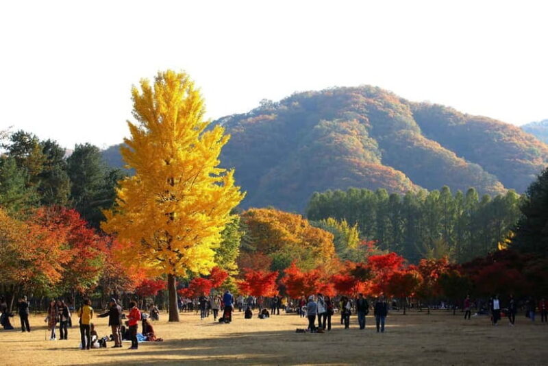 Nami & Maple Road & Theatre des Lumieres Day Tour from Seoul - FAQ