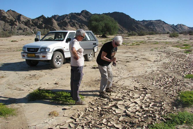 NAMIB DESERT TOURS, Full-Day and Half-Day Tours from Swakopmund, Namibia - Who Should Consider This Tour?