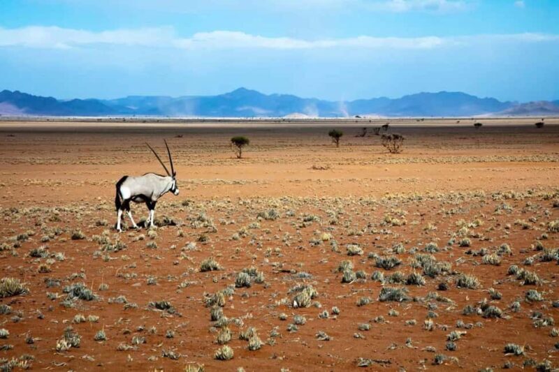 Namib-Naukluft park: Transport and tour to Naukluft park - Who Should Consider This Tour?