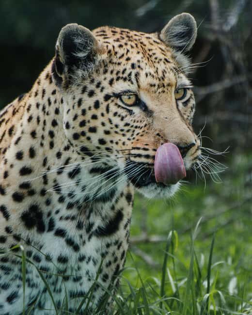 Namibia: 10-Days - An In-Depth Look at the Itinerary