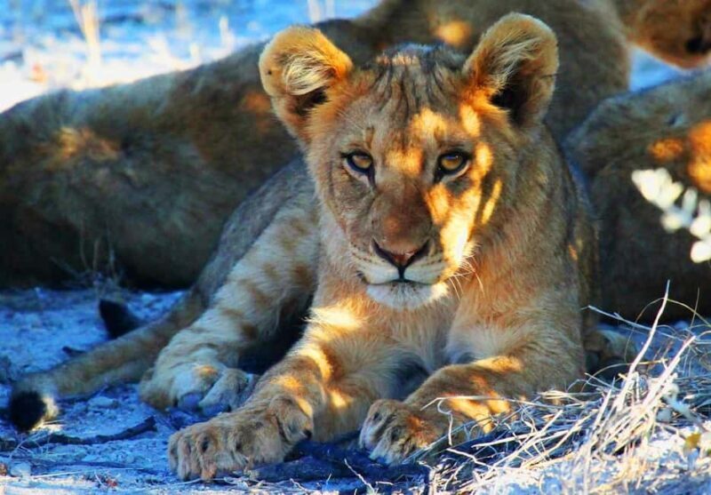 Namibia: 10-Days - Practical Considerations and Value