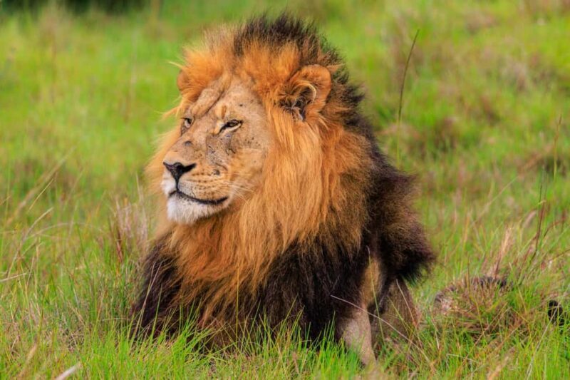 Namibia: 10-Days - Who Will Love This Tour?