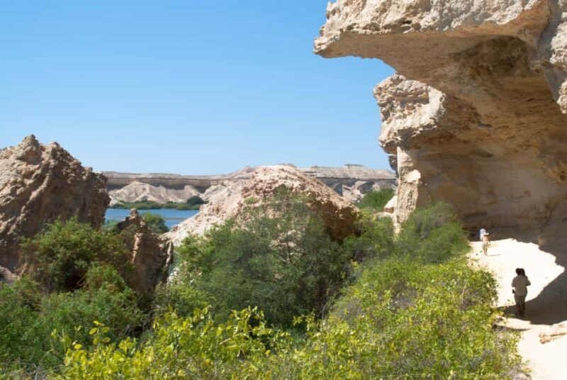 Namibia Coastal Tour Excursion - The Sum Up: Is the Namibia Coastal Tour Excursion Worth It?