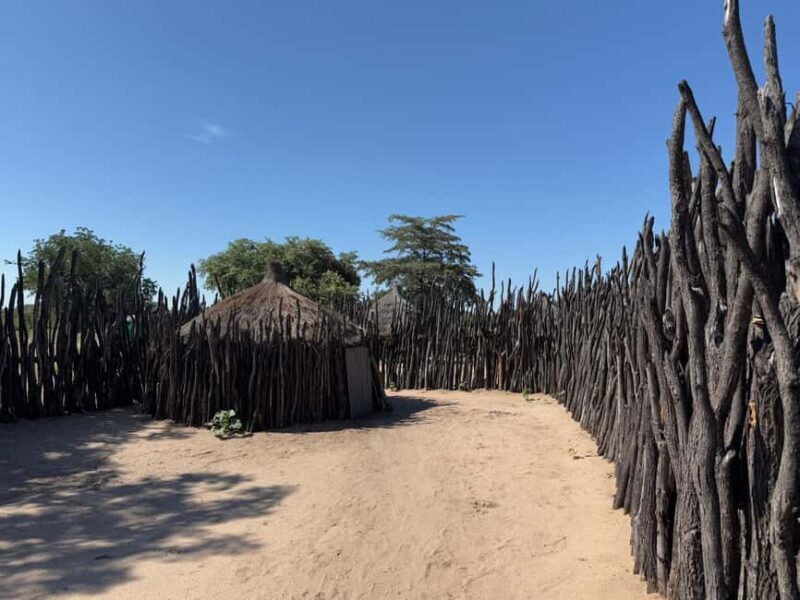 Namibia: Guided Immersive Safaris and Culture - Key Points